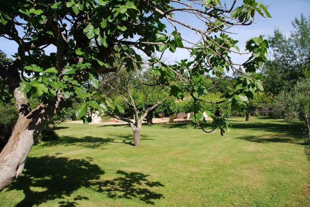 Vezenobres Gite De Charme 80 M², Piscine, Proche D'Uzes. מראה חיצוני תמונה