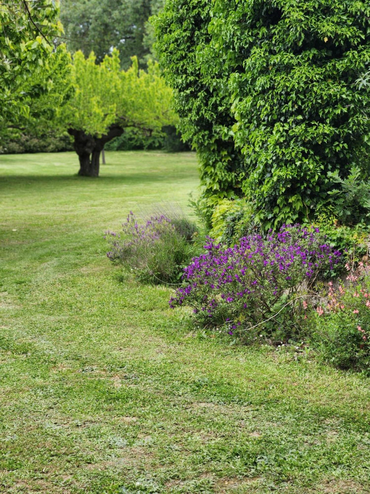 Vezenobres Gite De Charme 80 M², Piscine, Proche D'Uzes. מראה חיצוני תמונה